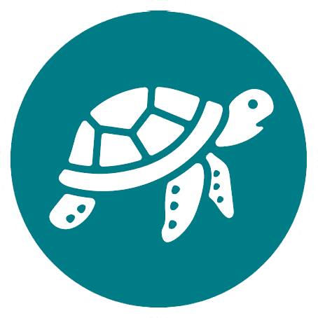 turtle-new