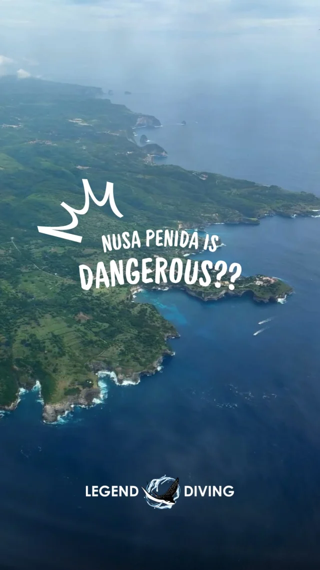 Once you visit Nusa Penida, you won’t want to go home! 🌊 From its stunning coral reefs to a thriving marine sanctuary, an incredible marine world is waiting for you🪸🐠🤿Follow us for more scuba diving content! 🩵
#bali #underwater #diving #scubadiverlife #indonesia #wonderfulindonesia #diveindonesia #scubadivingindonesia #balitravel #nusapenida #nusalembongan #nusapenidatrip #nusapenidadive