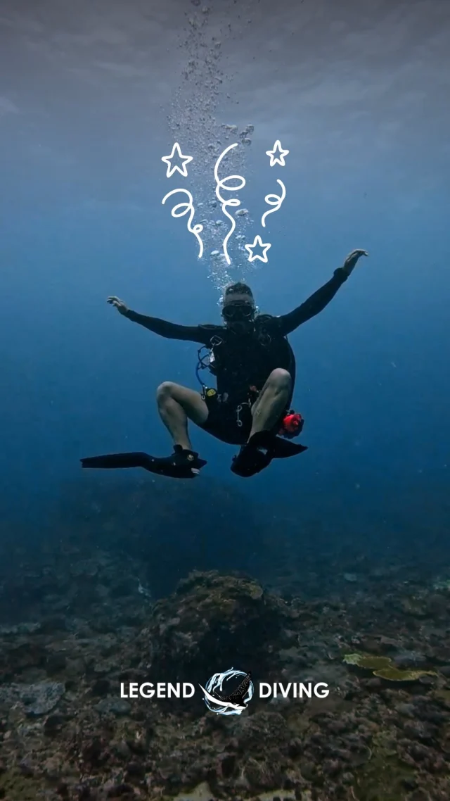 Why he isn't texting right now? He's underwater doing silly things!😅🤿Follow for more underwater content / Dive with us in nusa lembongan & nusa penida.
Tap link in bio! 💙#underwaterjokes #funnyvideo #underwaterfunnyvideo #divinglife #diverlife #dive #scubadive #balidiving #nusapenida #divingbali
