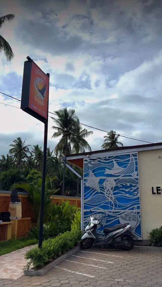 Life at Legend Diving 🌊
From classroom sessions to ocean adventures. Every day is a mix of learning, laughter, and bubbles🩵🩵
.
#padidivecenter #divecenterbali #divingbali #divingcenterbali #divepro