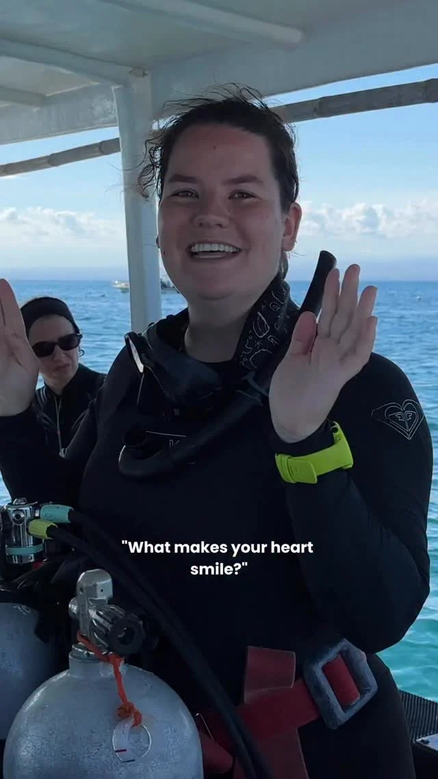 this is my kind of happiness 🌊✨
.
DIVE WITH US!
Legend Diving Indonesia 🇮🇩
Nusa Lembongan - Nusa Penida - Komodo
.
#recreationaldive #scubadiving #scubadive #scubadivebali #scubadivingindonesia
